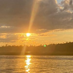 Meet your Posher, Bea